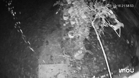 Use of unknown chemical or biological weapons from a drone in Hungary!