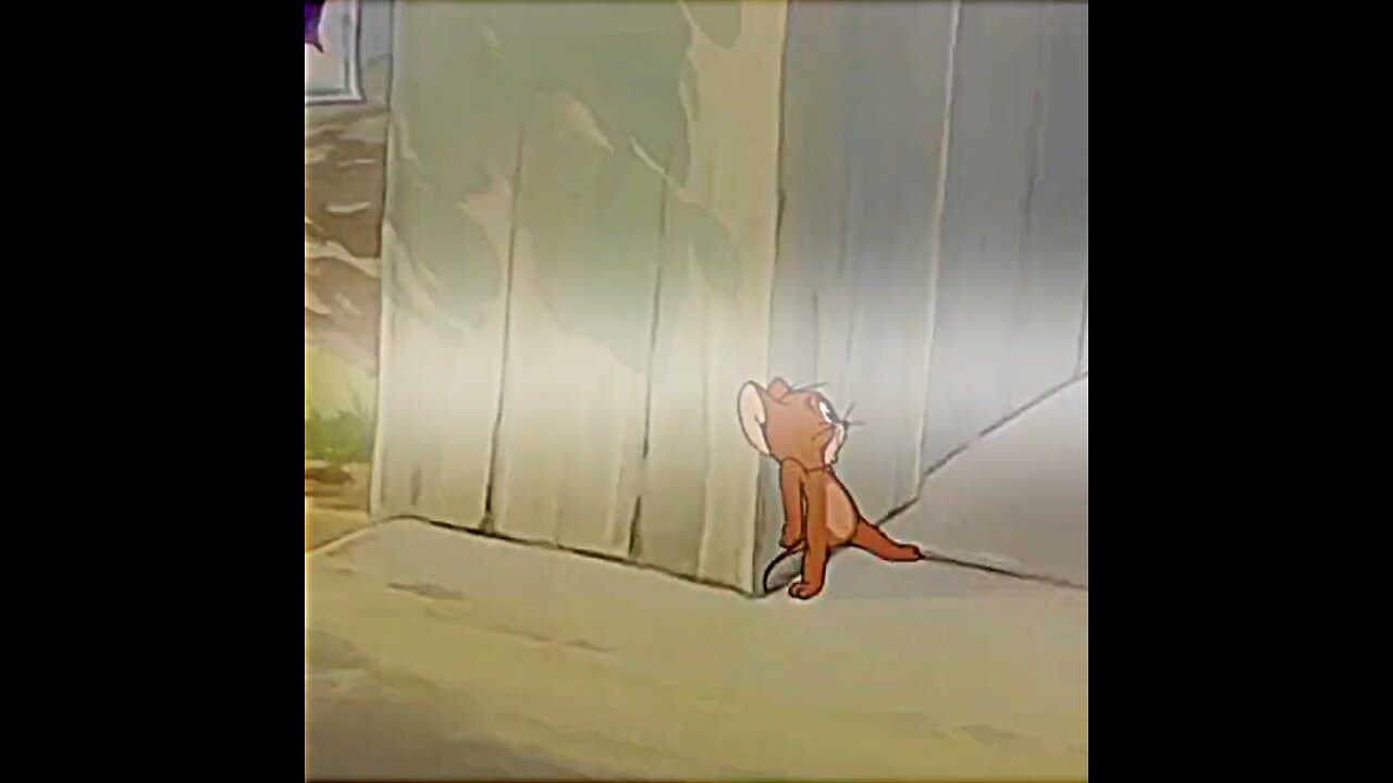 tom and jerry