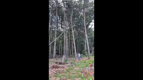 Two saws one cut.