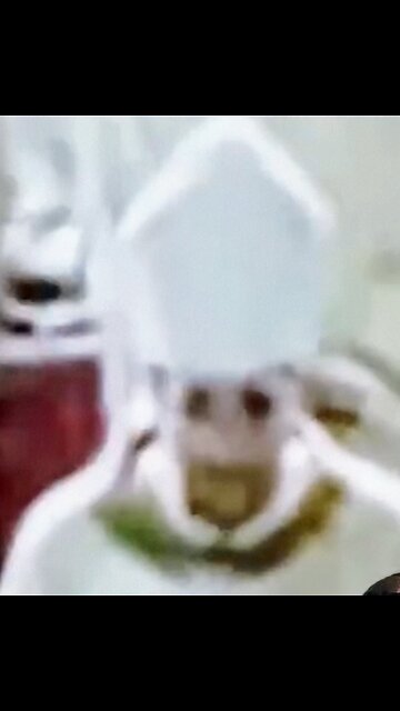 Strange Things Caught On Camera When "The Portals" Were Opened At The Vatican