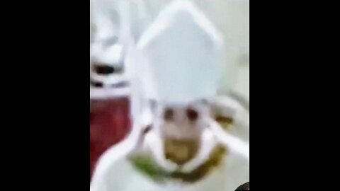 Strange Things Caught On Camera When "The Portals" Were Opened At The Vatican