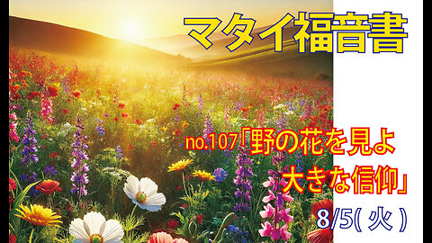 「野の花を見よ」(マタイ6.27-30)みことば福音教会2025.8.5(火)