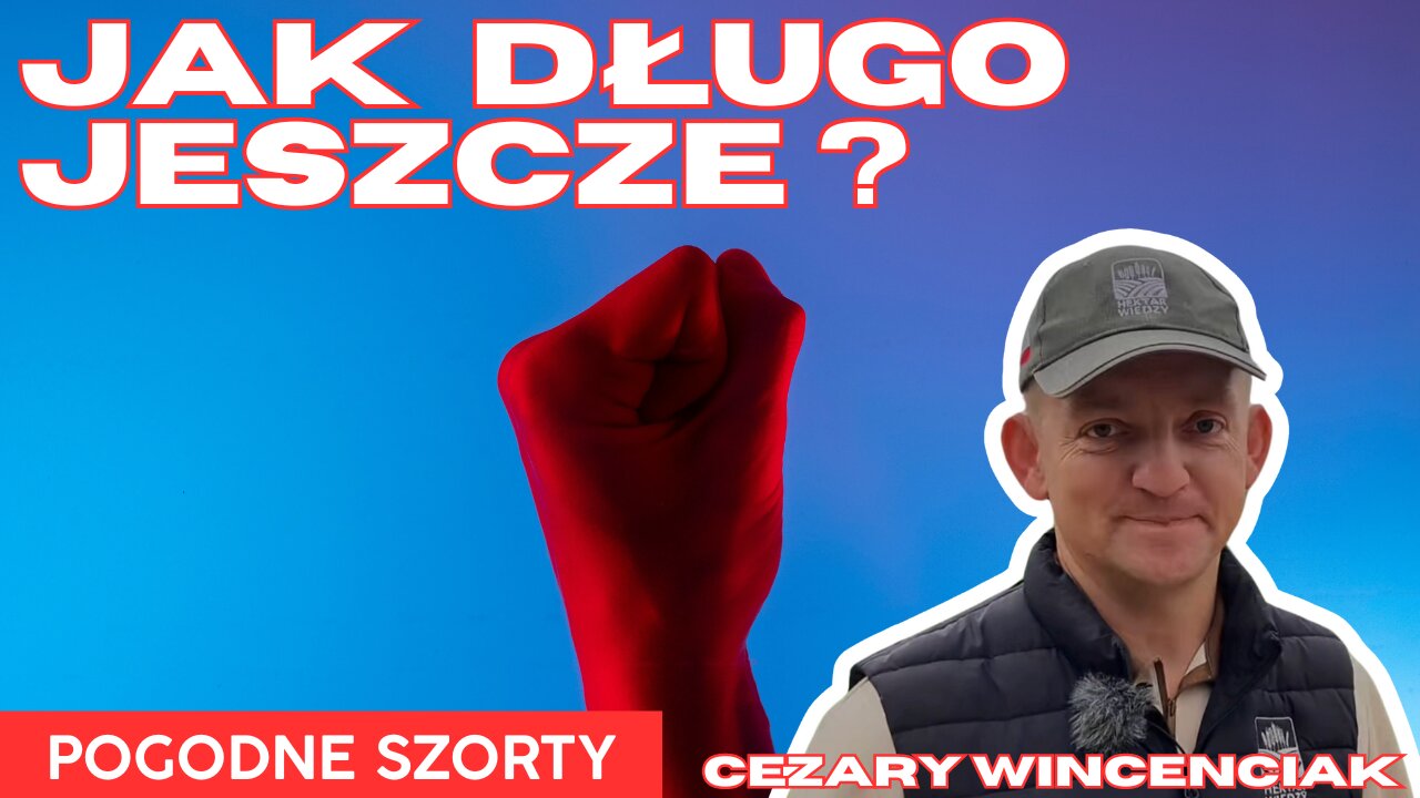 Jak długo jeszcze na to pozwolimy? | Pogodne Szorty #146