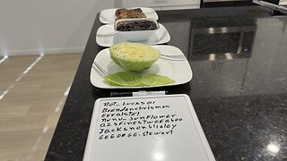 MEAL OF THE DAY DEDICATED