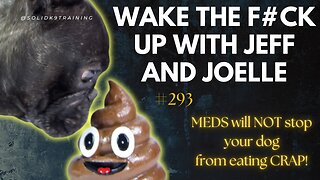 Wake the F#CK up w/Jeff & Joelle #293- if your dog eats shit, get rid of it