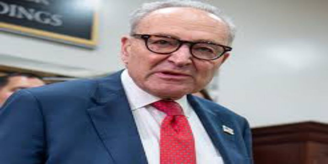 Schumer Refocused on Midterms as Calls for Ouster Mount