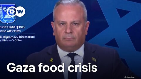 Netanyahu spokesman defends aid blockade, says 'Gaza hunger story engineered by Hamas' | DW News