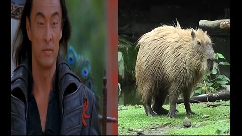 Vlog 16: RIP Cary and Donut... (December 5th, 2025)