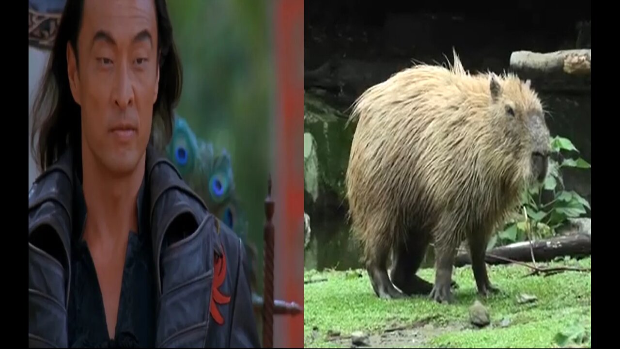 Vlog 16: RIP Cary and Donut... (December 5th, 2025)