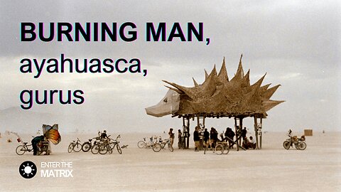 E0021 ENTER THE MATRIX - BURNING MAN, ayahuasca, gurus