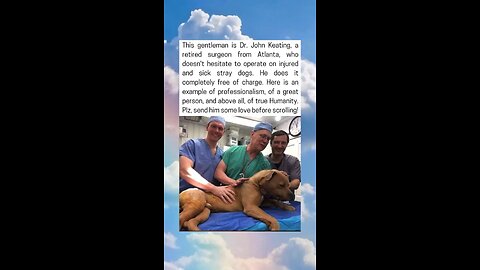 Retired Surgeon Devotes His Life To Helping Stray Dogs