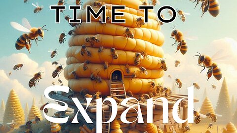 New queen is expanding the hive