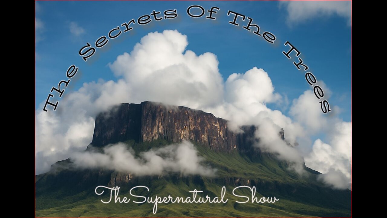 "The Secrets Of The Trees" Documentary - Research Episode 1