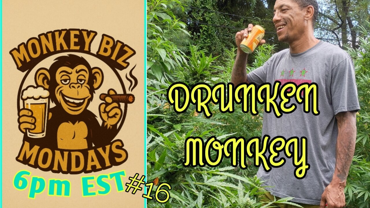 Monkey Biz Mondays: Chimping Out!