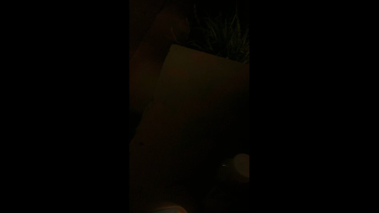 Quite a Night Cone Join in