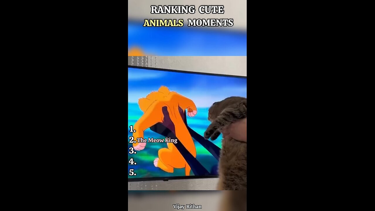Funny videos