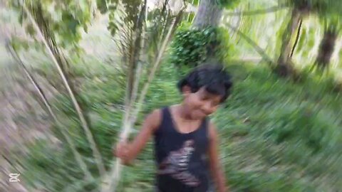 Childhood