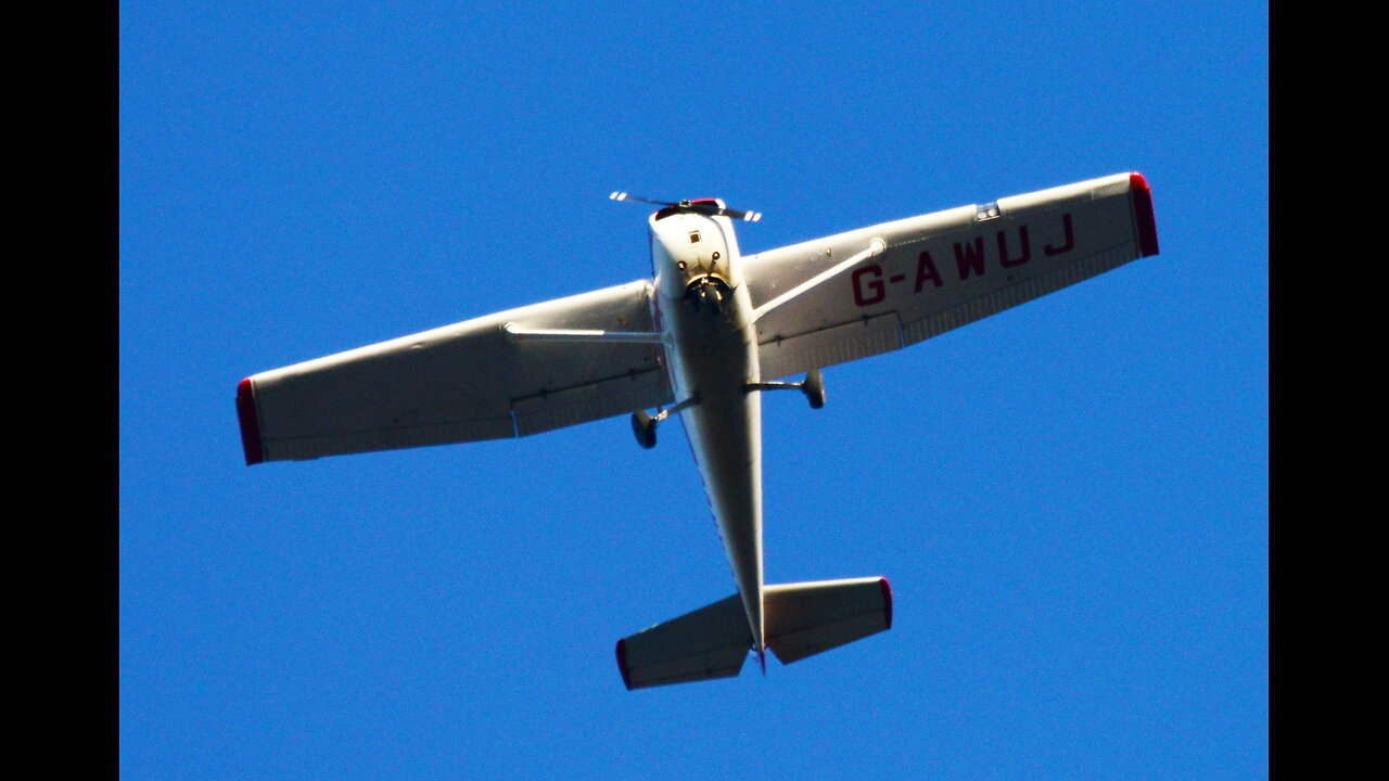 LORD STEVENS A WINGED/FLYING MONKEY