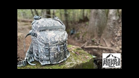 U.S. Army MOLLE II 3 Day Assault Pack Surplus Review