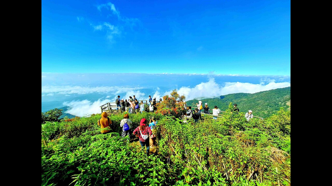 Kew Mae Pan nature trail กิ่วแม่ปาน Doi Inthanon Thailand Chiang Mai
