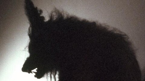 The Howling 1981-Dee Wallace, Elisabeth Brooks, John Carradine-IMDB 6.5/10