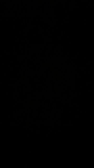 Second Amendment is Back!