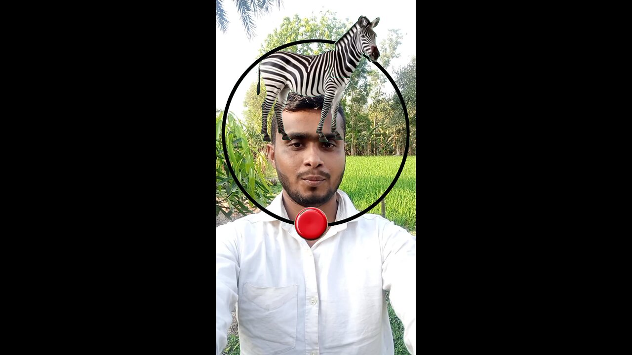 জেব্রার মাথাটি জোড়া লাগান #Amazing #puzzle #reels #virals #vairalreels #shorts