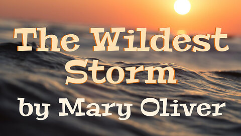 The Wildest Storm by Mary Oliver a poetry reading
