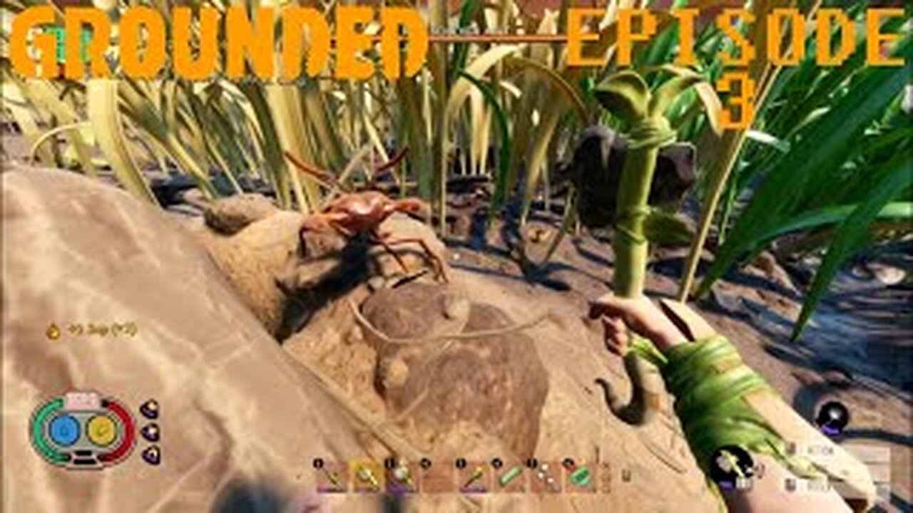 Grounded First Full Play Through : Red Ant Hill
