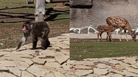 These shots will remind you that nature is a real miracle!