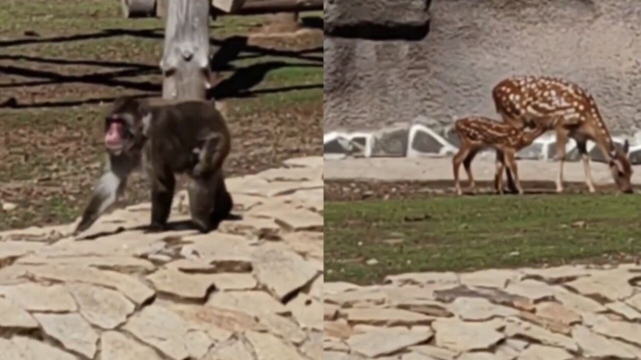 These shots will remind you that nature is a real miracle!
