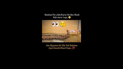 Bezuban Janwar Per Zulm Karte hun