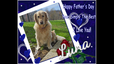 Golden Retrievers: Hearts of Gold - Father's Day 2025