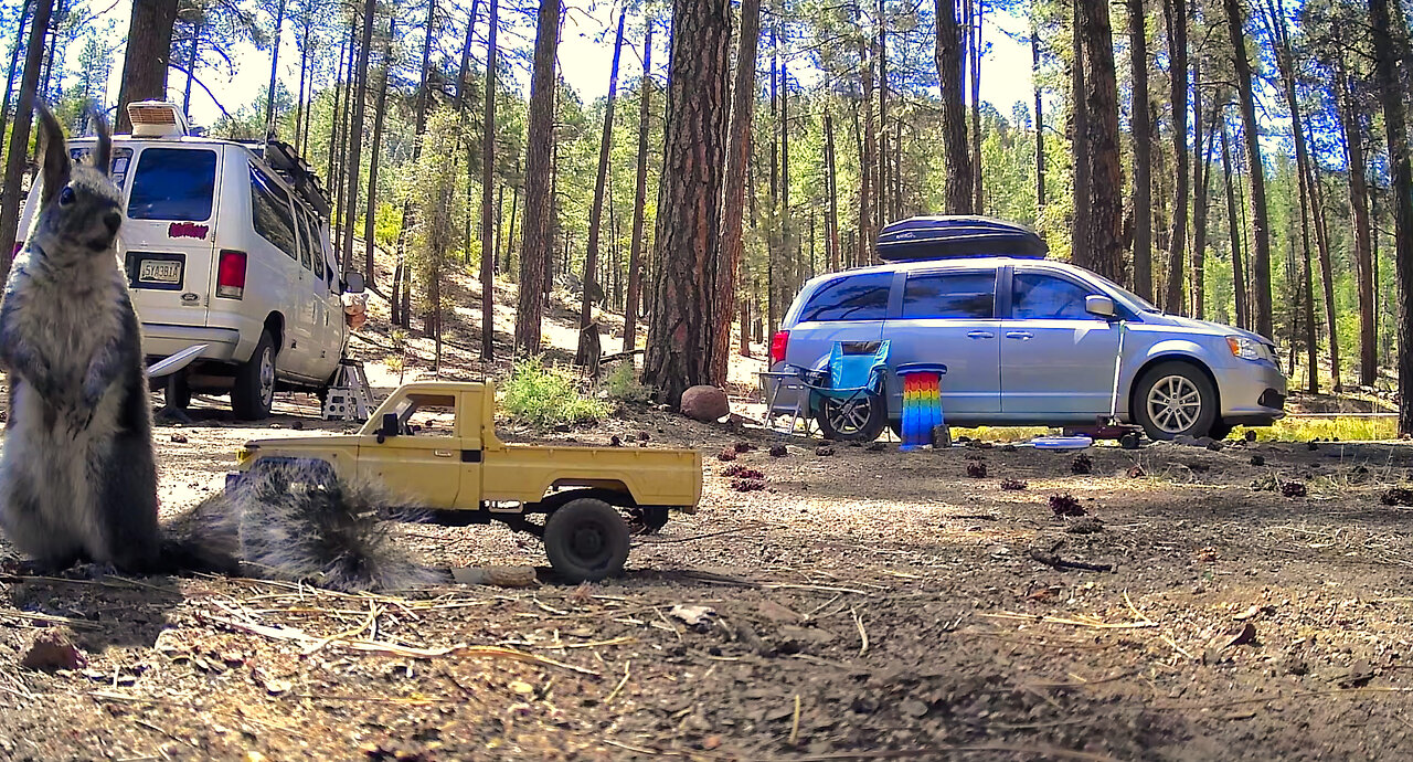 Camping Ban Blues: Adapting To The New Rules
