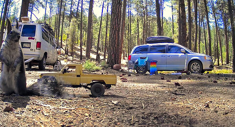 Camping Ban Blues: Adapting To The New Rules