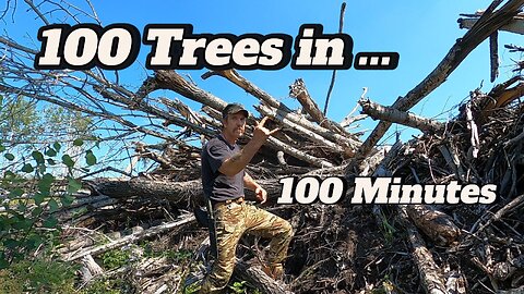 100 Trees in 100 Minutes. Almost 33c Will They Survive? Will I Survive?