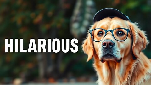 Funniest Animal Videos Ever Part ∞