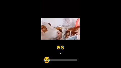 funny moment