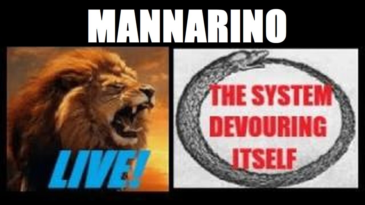 MANNARINO: "U.S. FACTORIES ARE DYING FASTER. SENATE PASSES MASSIVE SPENDING BILL."