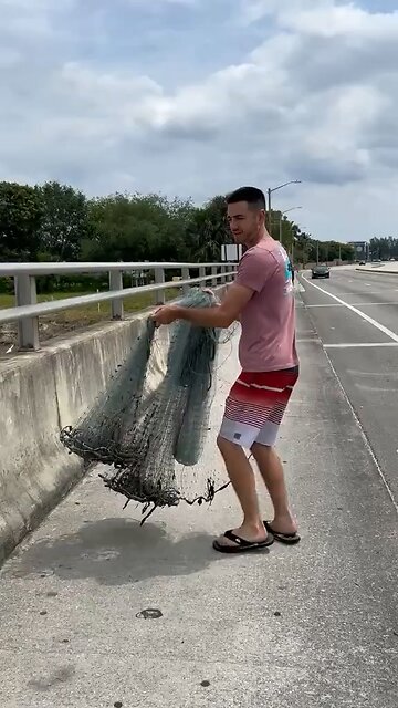 Cat h & Release? Lol