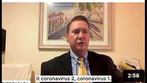 Attorney Todd Callender describes how the BIS is at the top of the global governance hierarchy