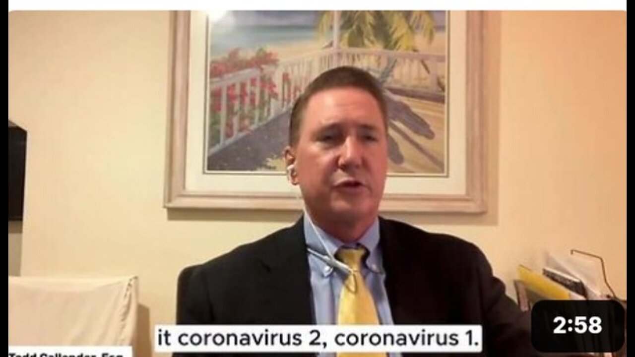 Attorney Todd Callender describes how the BIS is at the top of the global governance hierarchy