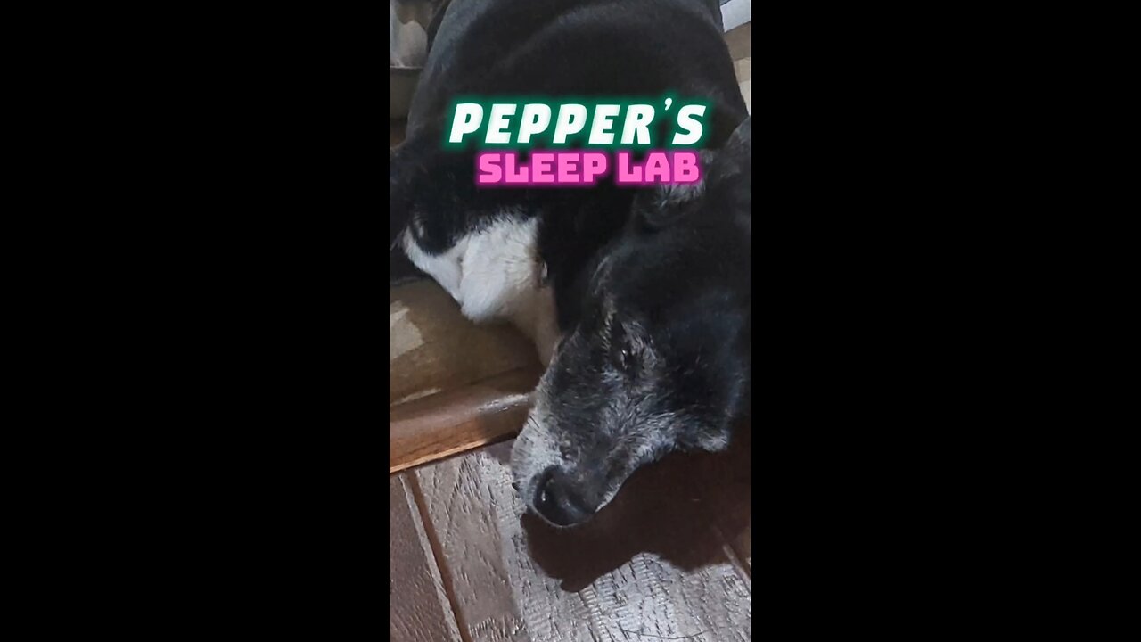 Pepper’s Sleep Lab This is advanced. She’s a sleep technician. The floor is part of the study.