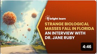 BrightLearn - Strange Biological Masses Fall in Florida, an interview with Dr. Jane Ruby