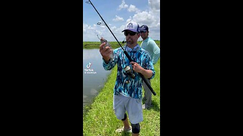 Fishing Reel - Big Fish Caught