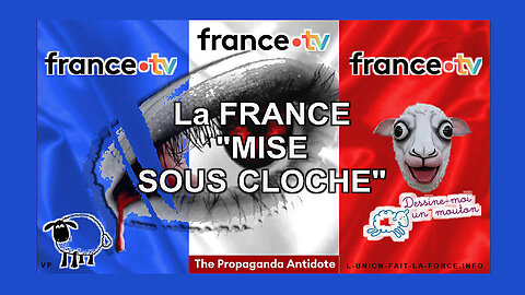 France TV et désinformation !!! Parodie ? (Hd 720)