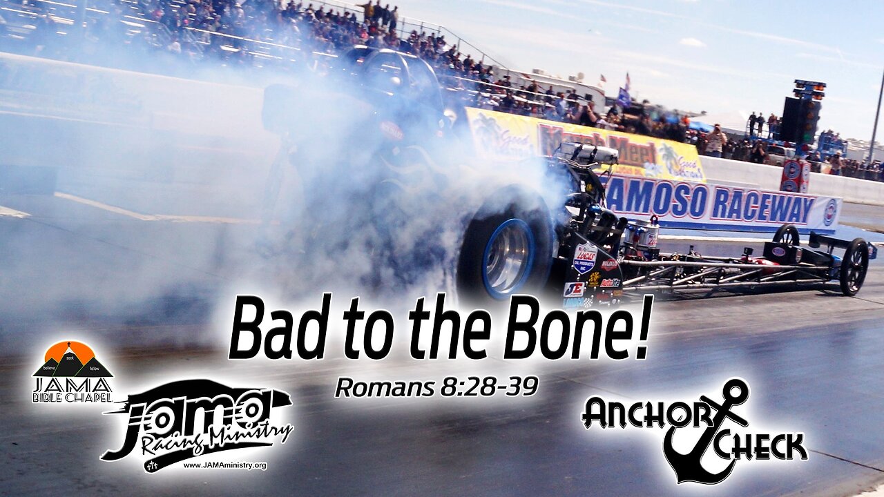 Bad to the Bone!
