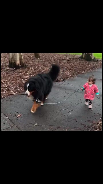 That was a lot of dog for a small girl!