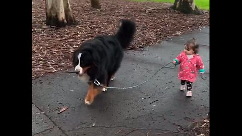 That was a lot of dog for a small girl!