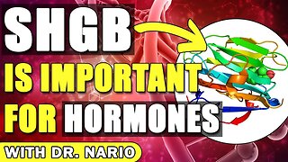 SHGB Is Important for Hormones